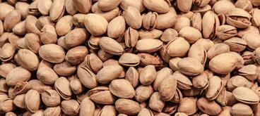 pistachio